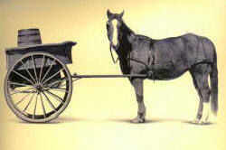 cart and horse