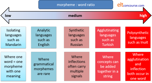 ratio 2